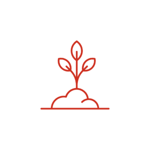 Green Initiatives Small Garden for a Healthier Environment